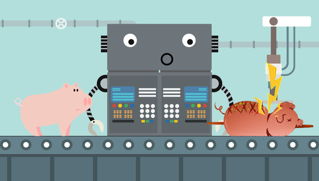 生猪养殖,猪周期