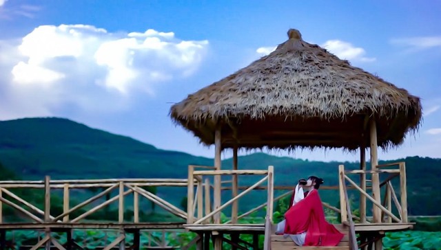 移动互联网,内容产业,资本市场,李子柒,王自如