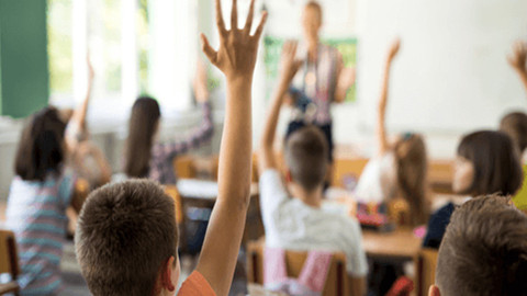 成都市锦江区将启动试点小学生暑期托管服务