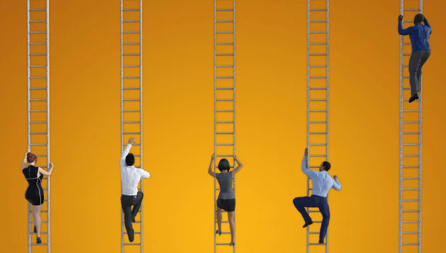 生鲜电商,社区团购,投资