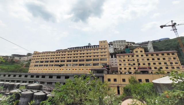 白酒,中国市场,圣窖酒业,业绩