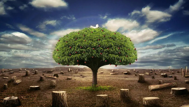 制造业,环保,绿色制造