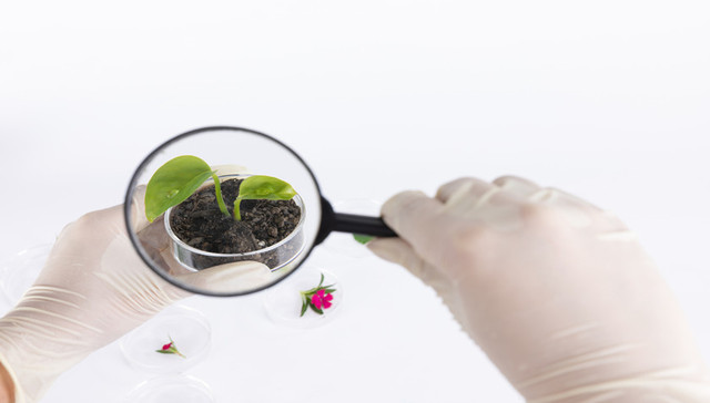 北京大学牵手潍坊，现代农业研究院为鸢都插上农业科技翅膀