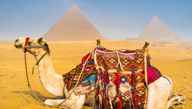 埃及市场,跨境电商,中国品牌