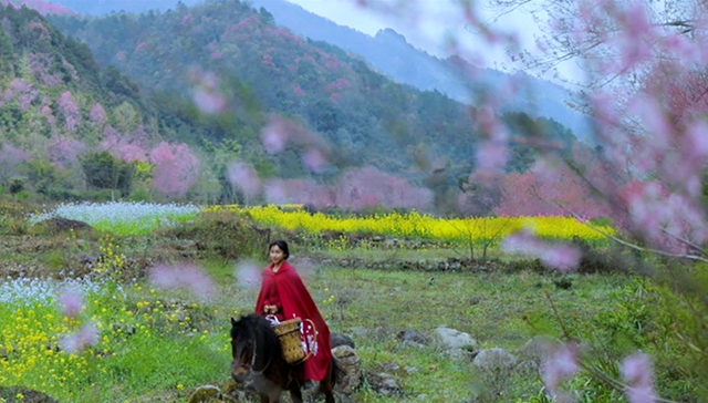 在李子柒视频中，找到了消逝已久的生活美学