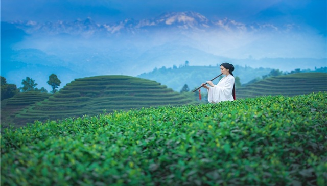 三千亿投资激活万亿商机，川藏铁路沿线城市抢抓百年历史机遇