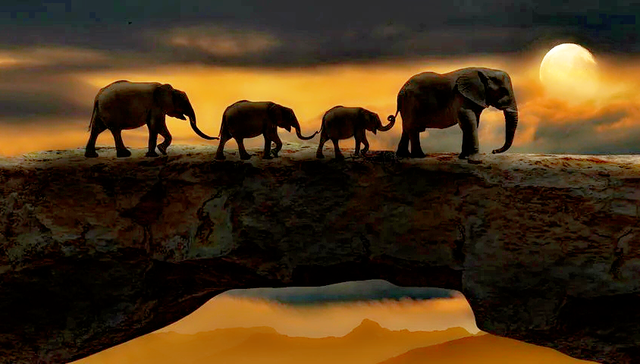 贵州,白酒,资本市场