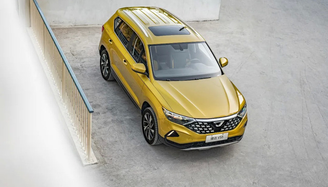 自主品牌,销量下滑