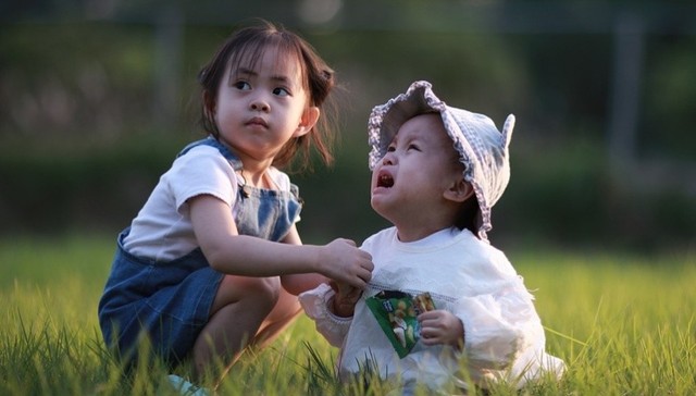 儿童心理,行业观察