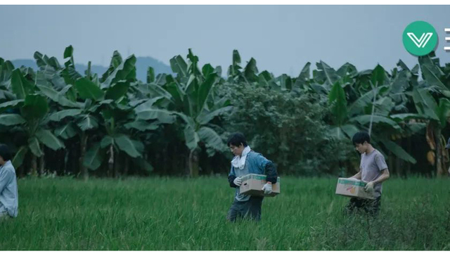 用理性书写「雨打芭蕉」的诗意
