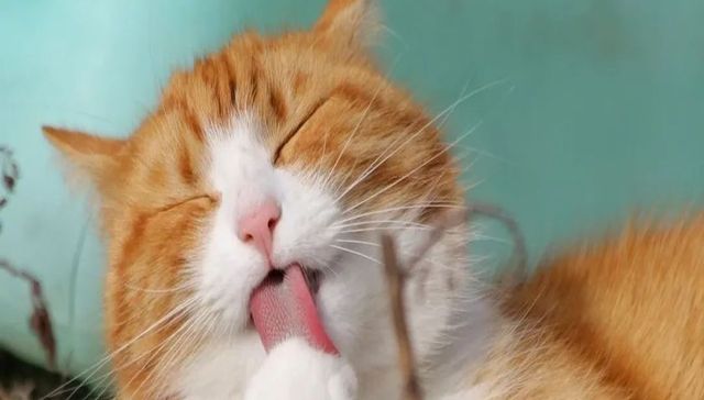 创业,互联网,医学