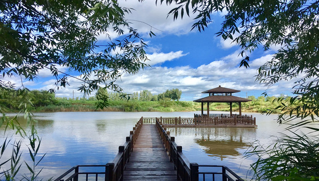 山东城市观察| 产业振兴激活乡村振兴，青岛即墨区如何做？