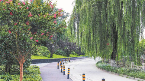 违建拆除变身美丽公园 金牛区王贾西街这个片区亮了