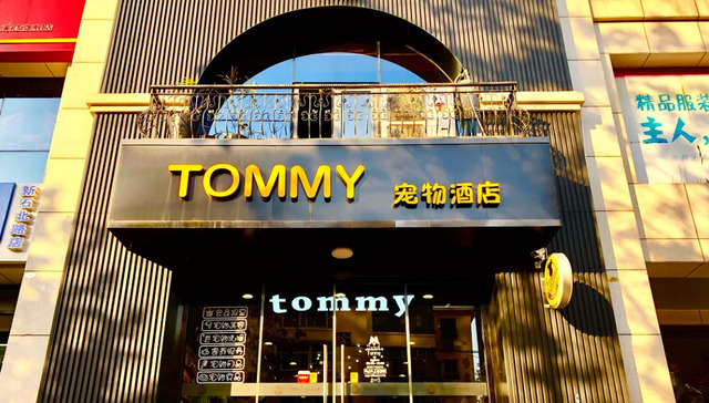 宠物经济,投资,消费