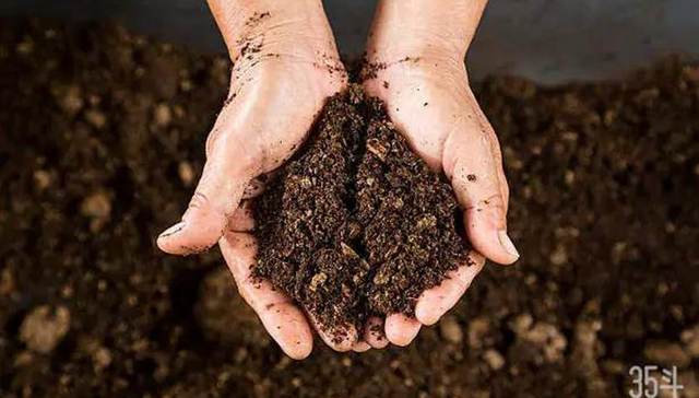 农业,科技,土壤