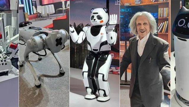 世界机器人大会,仿生机器人,无人配送