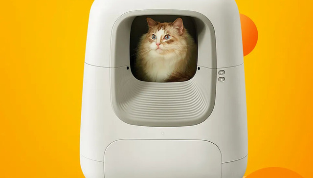 宠物经济,投资,消费