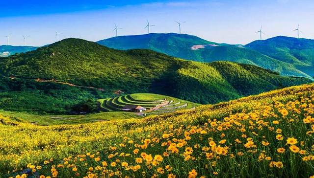 宁波“精特亮”创建，首批“最美精品线路”“最靓特色街区”出炉