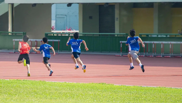 体育,培训,投资