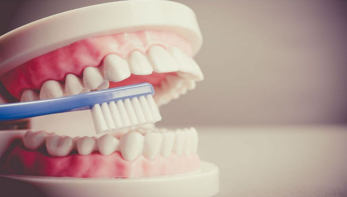 牙博士,赴港上市