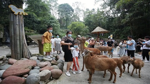 国庆假期雅安雨城A级旅游景区接待游客17.35万人次