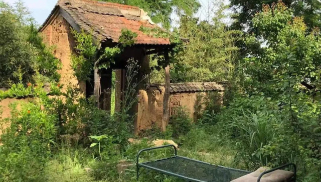 隐居潮,终南山,田园生活