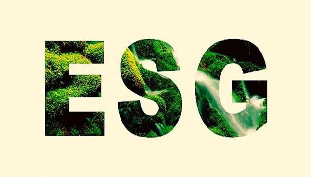 抗风险能力,社会责任投资