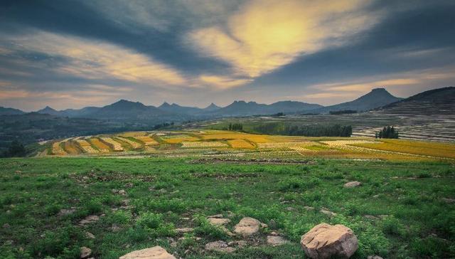 红色引领 绿色发展，临沂蒙阴乡村振兴跑出加速