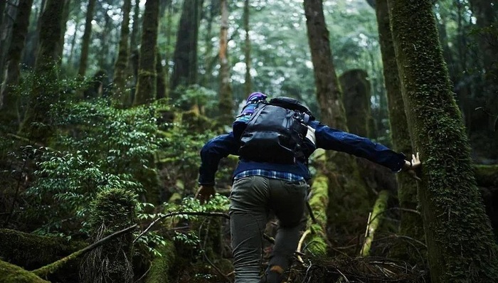 国内旅游,市场需求,文旅行业