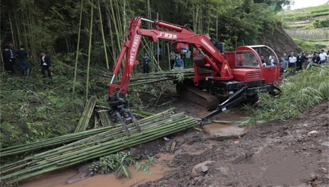 雅安雨城区竹产业新出路：实现40万亩竹资源向竹财富转变