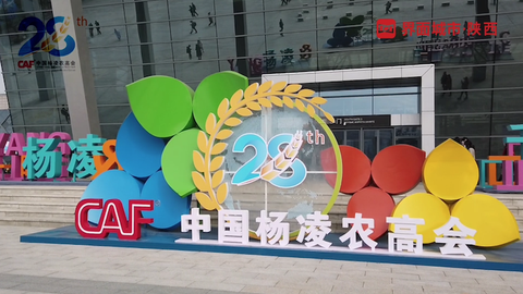 农高会现场精彩路透抢先看