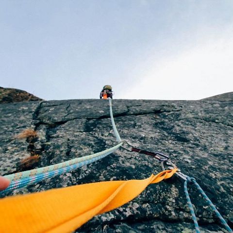 智能手机,酷派,业绩