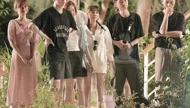 恋爱综艺,视频平台