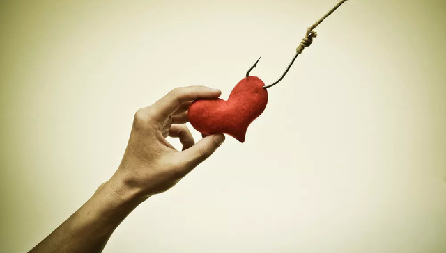 资产冻结,教育公司