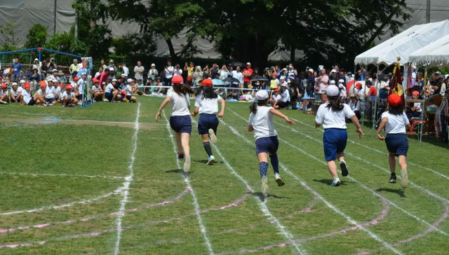 体育,教育,足球