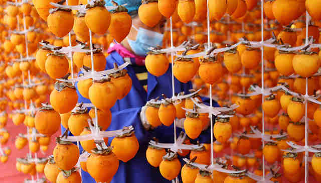 休闲食品,品牌营销,富平柿饼