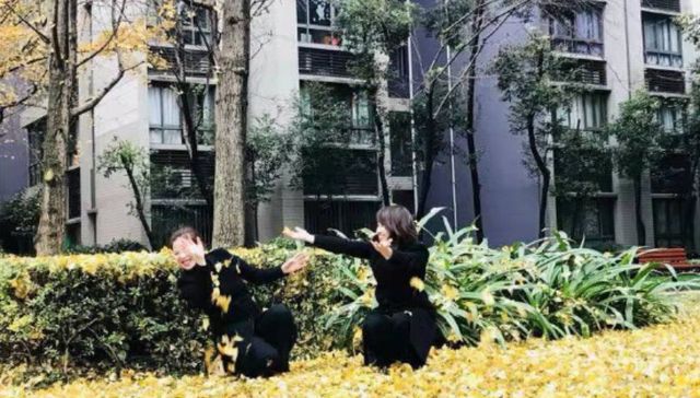 6年拾叶人：以叶作画绘就温情社区