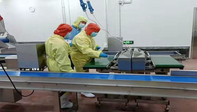 日照泰森食品：高标准强管控下的食品巨头