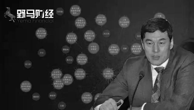 资本市场,中植系,解直锟,病逝,毛阿敏