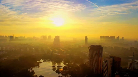 青白江的城市藝術(shù)之四 | 在公園城市港口城市里“詩意棲居”