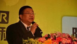 陆正耀，东山难再起