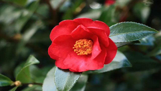 营销,品牌,消费