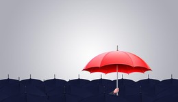 “马不停蹄”的中路保险，为哪般？