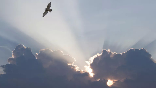 教育,培训,投资