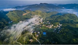 央企华侨城 礼遇中国年丨公益民俗礼、置业年味礼……“侨城的礼物”来了！