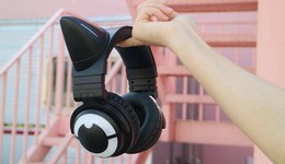 潮流电子借力二次元的危与机