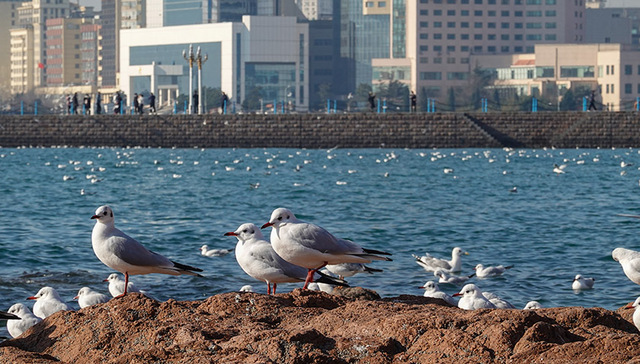 来海南过个冬，需要花多少钱？
