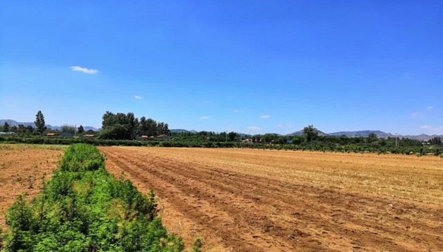 未来五年山东临朐这些短板能补齐吗？