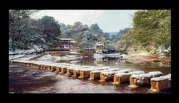 卓文君，最接地气的四川“女神”