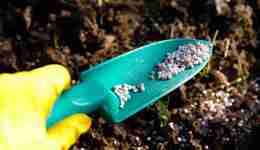 8000亿肥料市场迎来大变局，生物肥料会成为增长引擎吗？